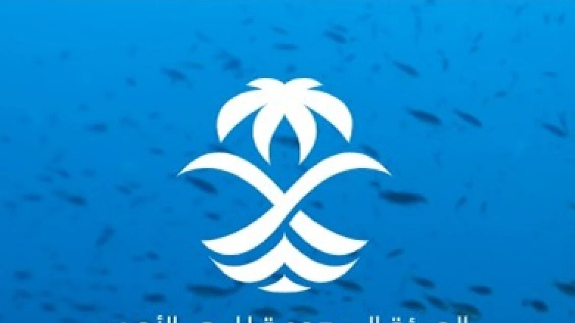 Fincantieri, accordo con la Saudi Red Sea Authority