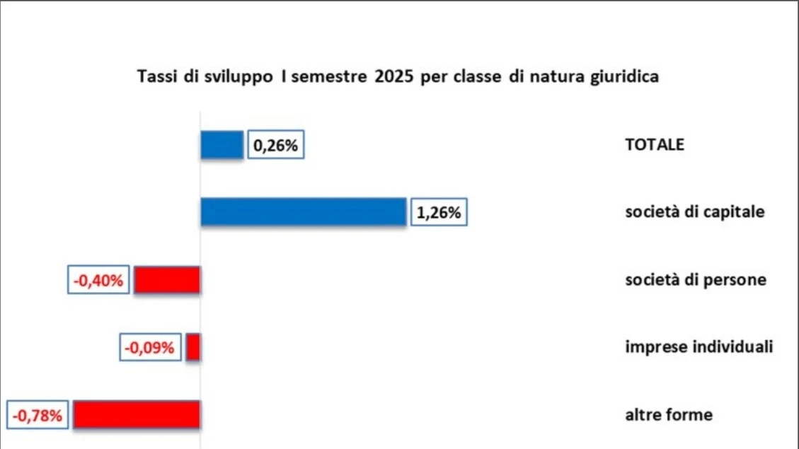 Cciaa Verona, crescono (+0,26%) le imprese nei primi 6 mesi