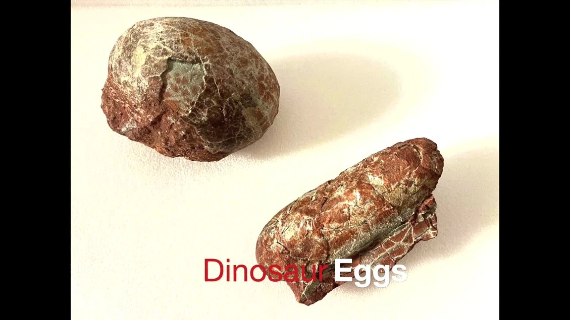 Ricostruzione 3D di un uovo di dinosauro (fonte: Andrea Barucci CNR-IFAC)