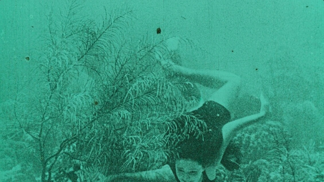 Festival Cinemabiente dal 5 giugno con Wonders of the sea