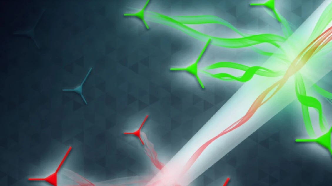 Da sfumature di luce l’impronta delle profondità del cervello