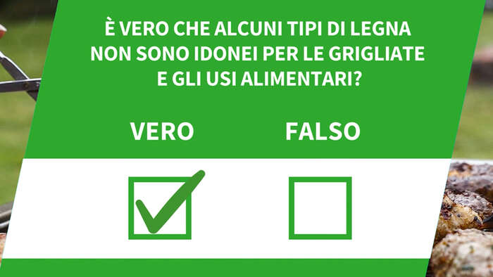 ANSA VERIFIED - E' vero che alcuni tipi di legna non sono idonei per le grigliate e gli usi alimentari?