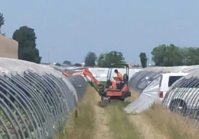 Cani e strumenti indicano punti Si scava per cercare Saman