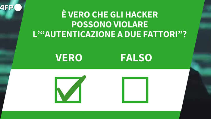 Ansa VERIFIED - E' vero che gli hacker possono violare l' 