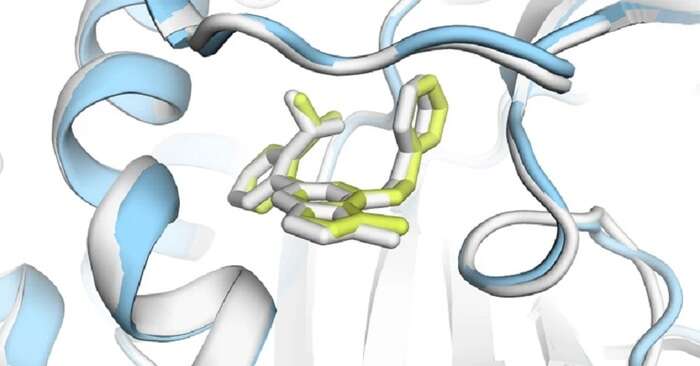 La nuova IA per la biomedicina non è open, i ricercatori protestano