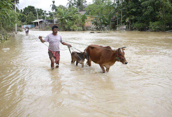 Almeno 29 morti per le inondazioni nel nord dell'India