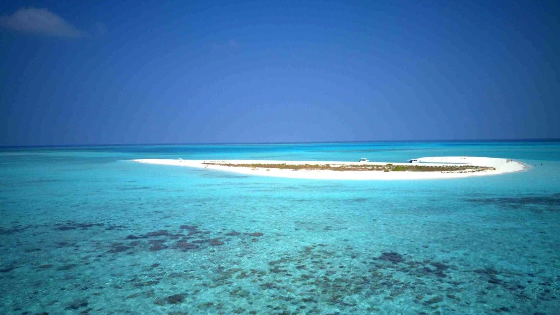 Cinque italiani morti alle Maldive durante un'immersione