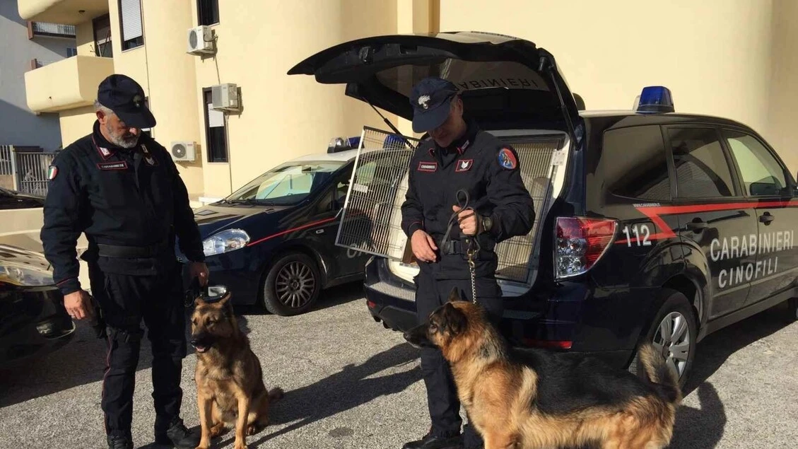 Sorelle scomparse: per le ricerche impiegati anche cani da 'mantrailing'