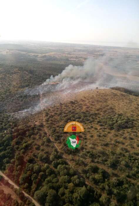 Incendio boschivo a Capalbio, due elicotteri in azione