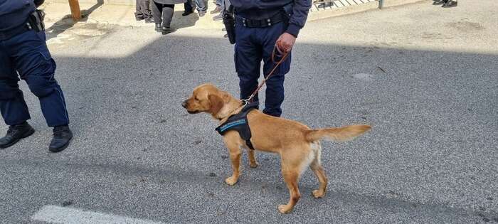 Inviano droga e cellulari in carcere, 6 arresti a Viterbo