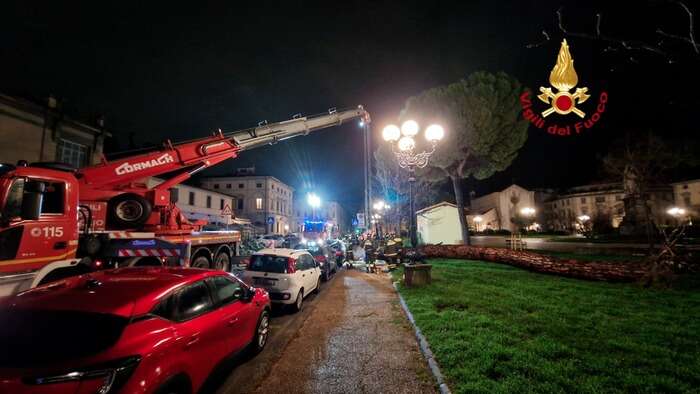 Maltempo, grosso pino crolla su auto a Firenze, nessun ferito