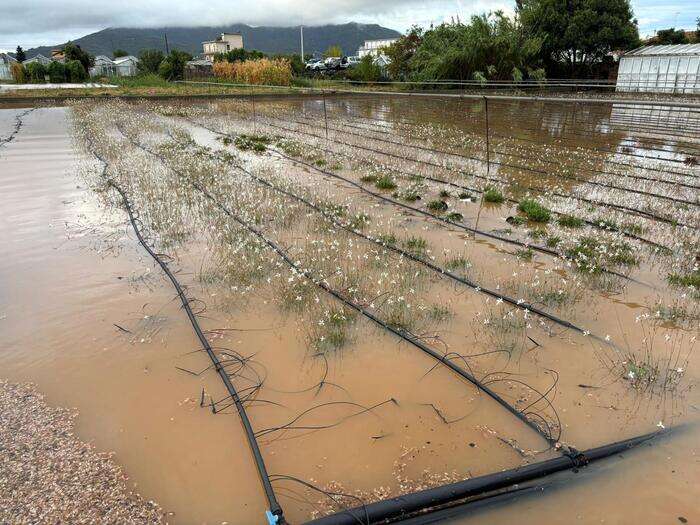 Liguria chiede stato calamità per maltempo nella piana Albenga