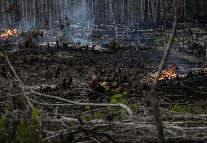 La deforestazione in Amazzonia scende del 38% nel primo semestre