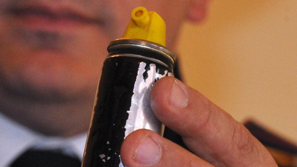 Ladro in uffici del Comune, spray a sindaco e assessore