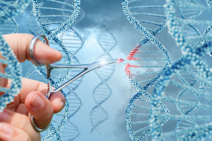 Nuove forbici molecolari più compatte per modificare il Dna