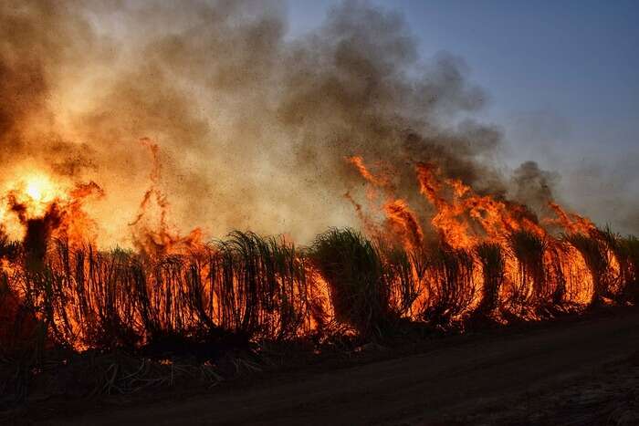 Col cambiamento climatico più morti per il fumo degli incendi