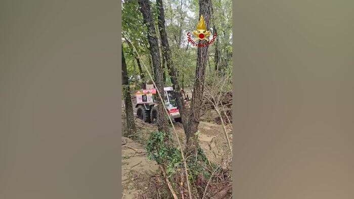 Cavalli bloccati dall'alluvione nel Bolognese, l'intervento dei vigili del fuoco