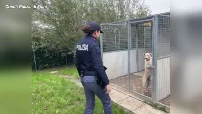 Maltempo in Emilia, la polizia al canile alluvionato di Sasso Marconi