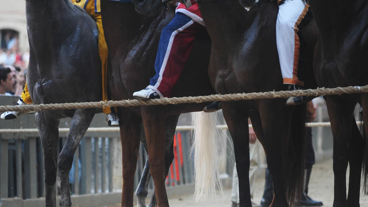 Palio di Siena, vince contrada Aquila, non accadeva dal 1992