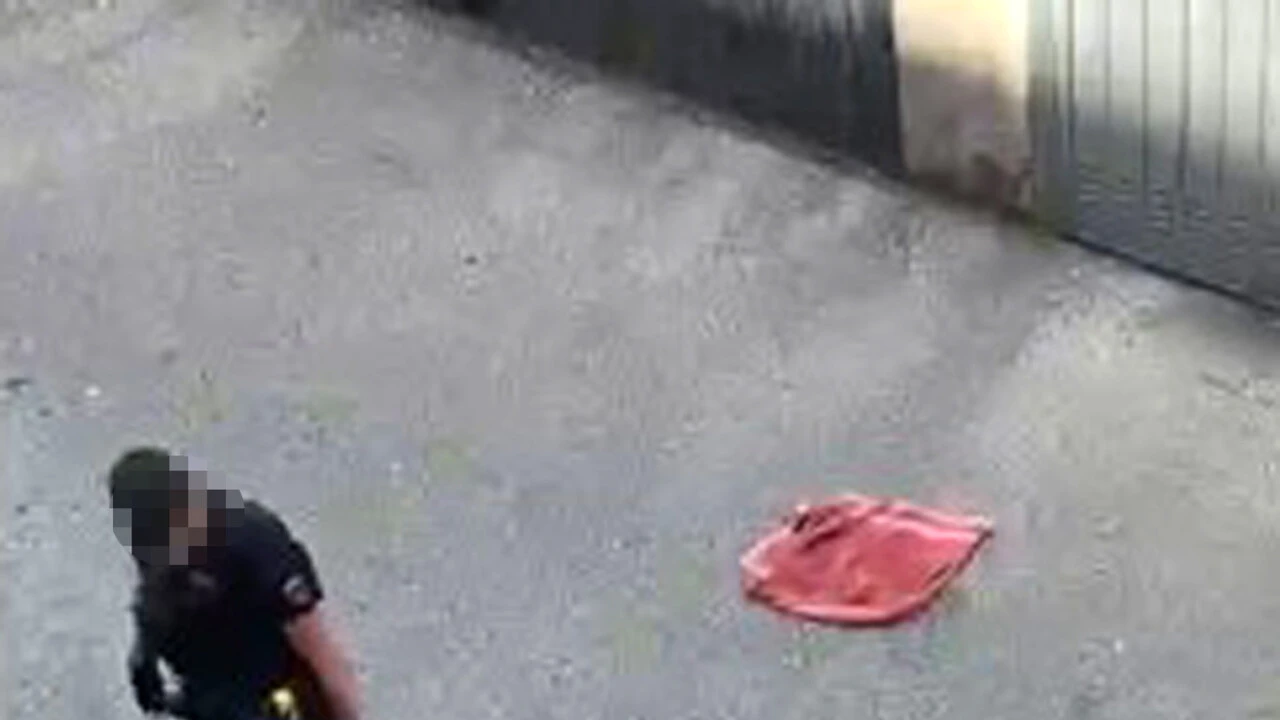 I volontari della Croce Rossa, 'sono sconvolti e molto turbati'