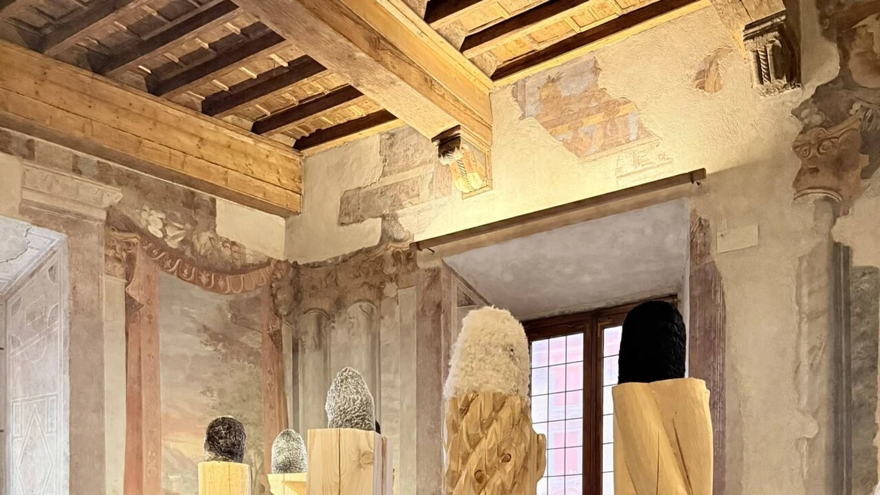 A Roma in mostra le opere dell'artista romeno Mircea Cantor