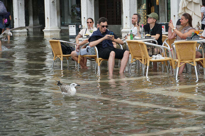 Acqua alta risparmia Venezia anche senza Mose, sfiorato il metro