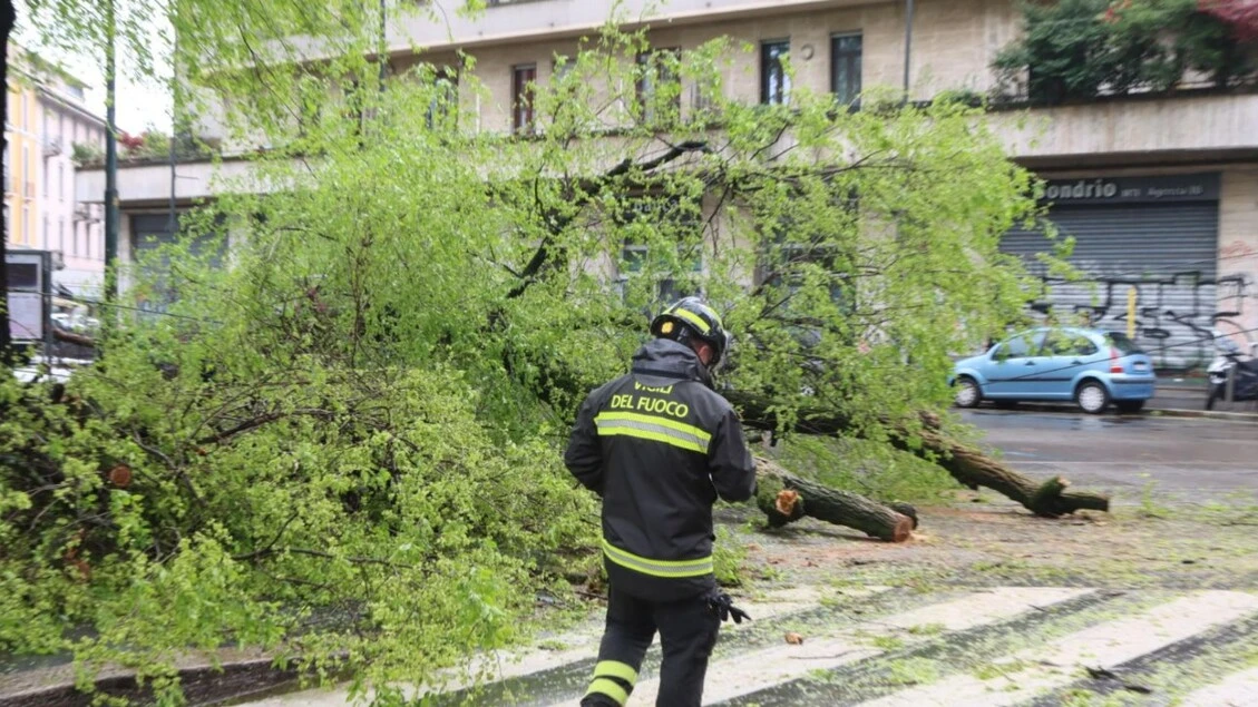 Pioggia e vento forte a Milano, chiusi i parchi cittadini