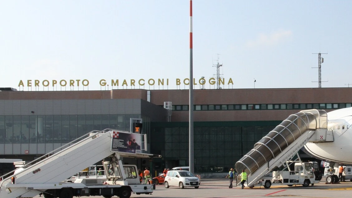 Importa illegalmente vertebre di delfino, fermato al Marconi