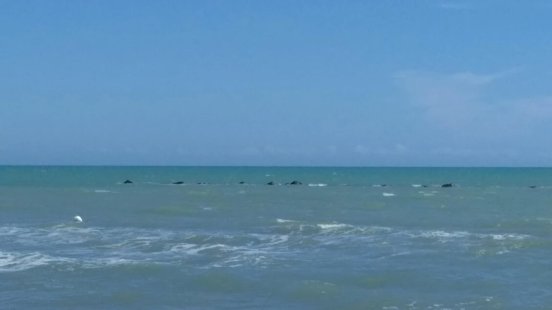 Da spiaggia pubblica a privata, sequestrati 180 ombrelloni
