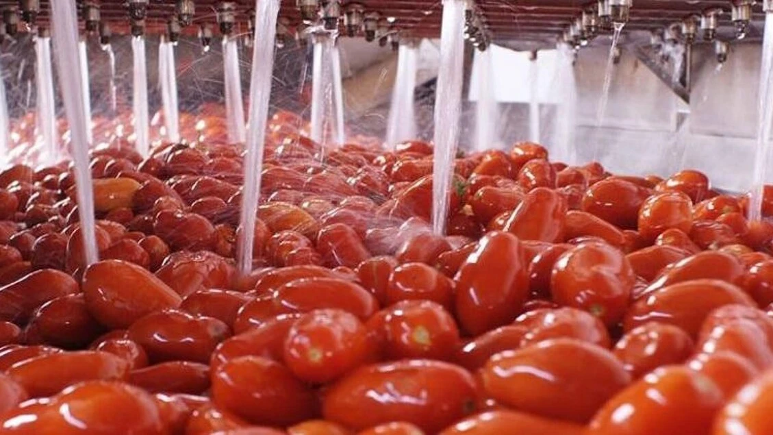 Made in Italy, nel 2024 export conserve pomodoro per 3 mld