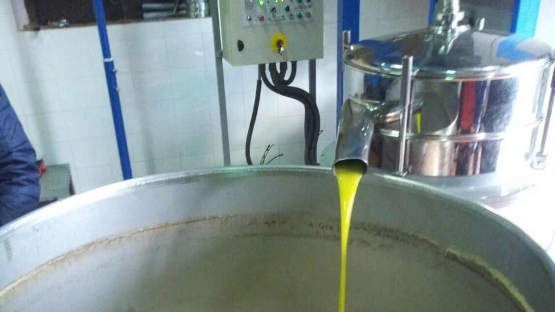 Ismea, sale l'export dell'olio di oliva e il valore segna +42%