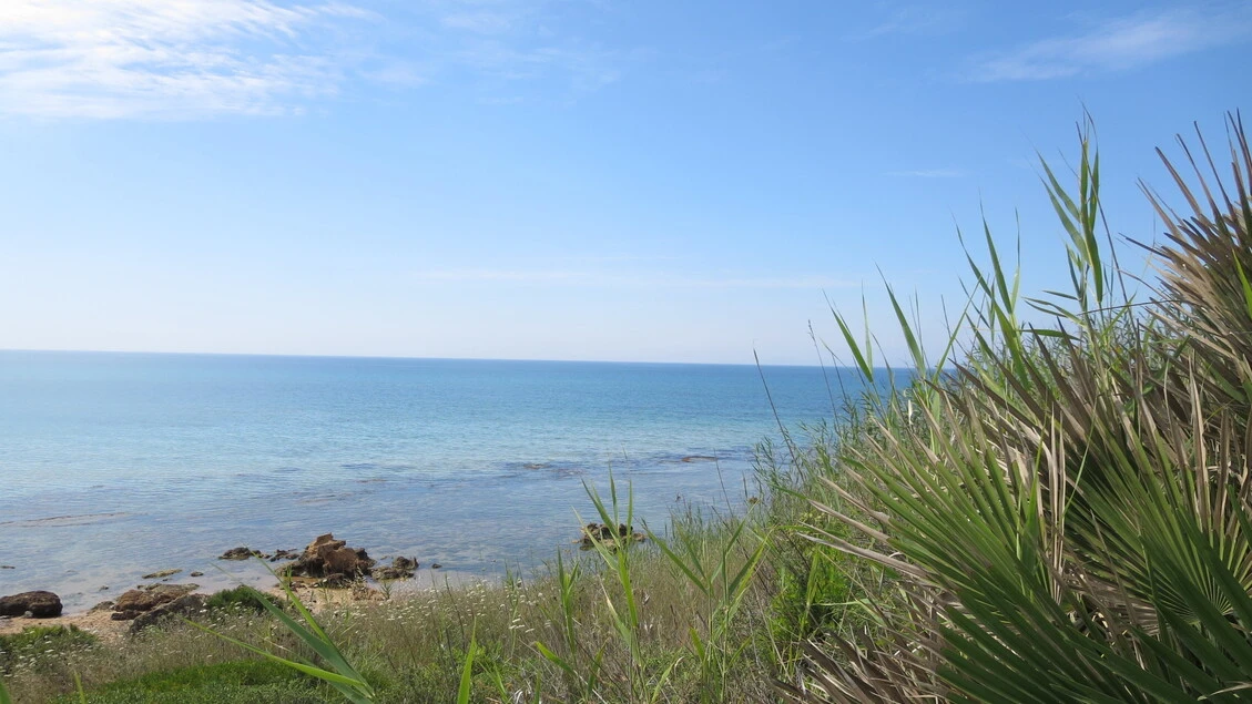 Consulta conferma divieto costruzioni entro 150 metri da mare