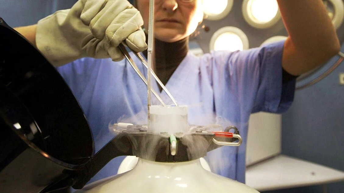 Adozione embrioni congelati, Ministeri al lavoro sul testo