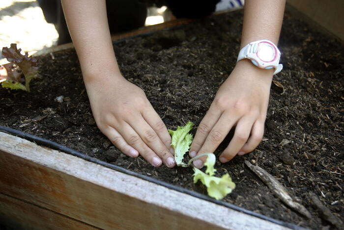 Colombia, chiuse 6.263 scuole in 6 anni per calo delle nascite