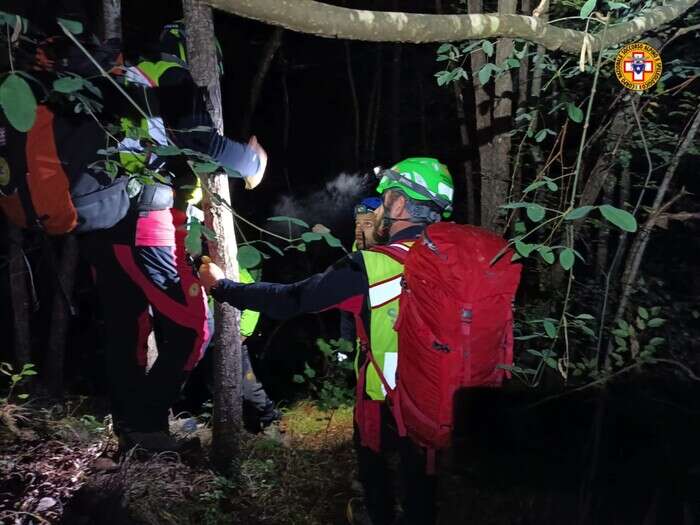 Fungaiola dispersa nel Piacentino, ricerche nei boschi