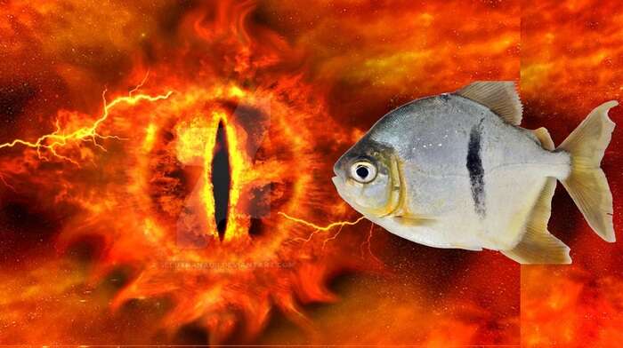 Dall'Amazzonia arriva Sauron, il parente vegetariano dei piranha