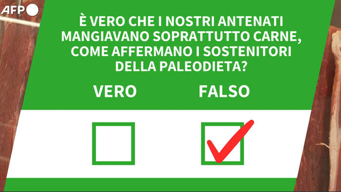 Ansa VERIFIED - E' vero che i nostri antenati mangiavano soprattutto carne, come affermano i sostenitori della paleodieta?