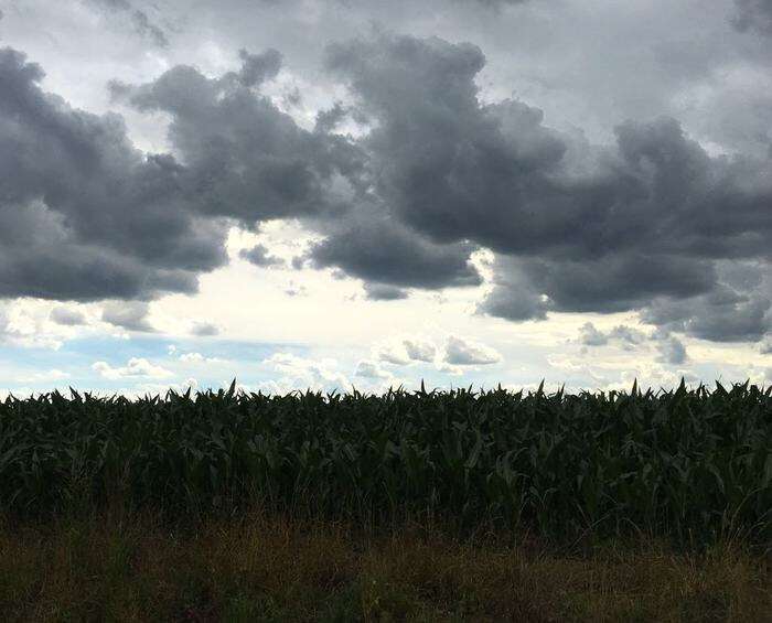 Oggi tregua meteo, da domani ancora pioggia e vento