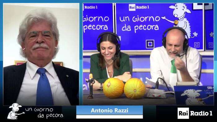 Razzi: 