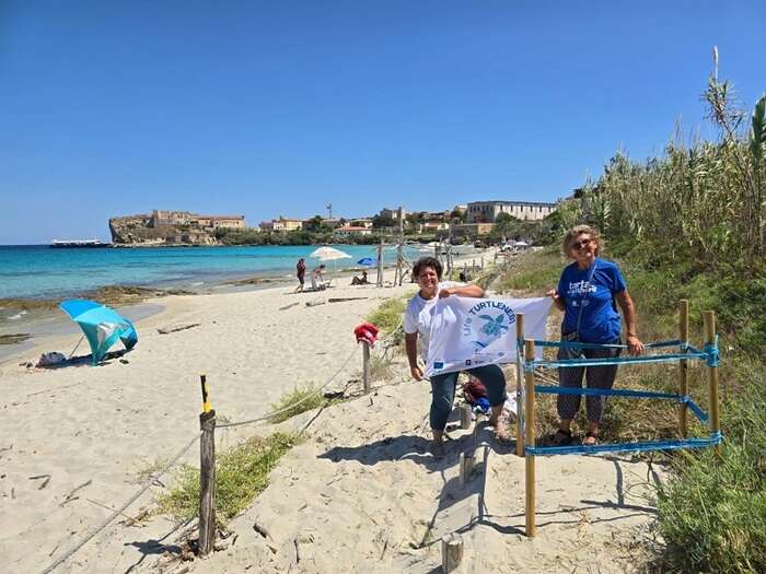 A Pianosa detenuti 'a guardia' dei nidi delle tartarughe marine