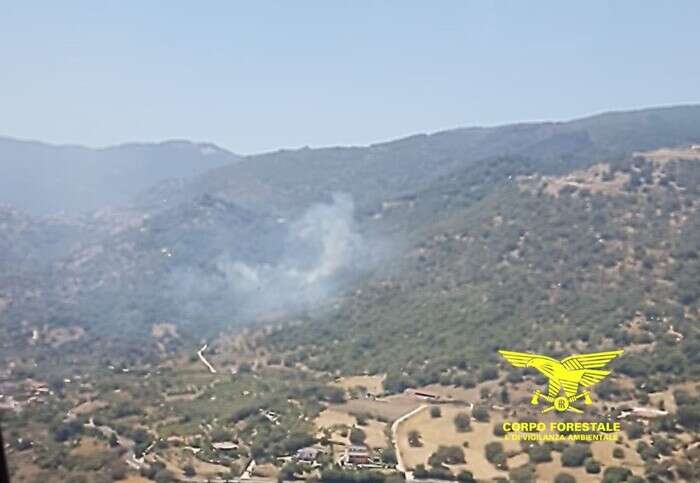 Fiamme nei boschi del Sassarese, due Canadair in azione