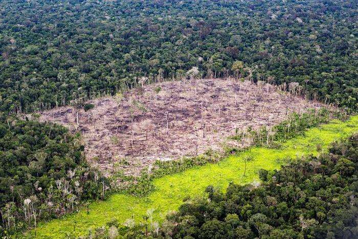 Dura critica del Brasile alle norme Ue contro la deforestazione