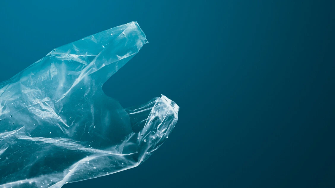 Rischi per la salute anche dalle particelle delle bioplastiche