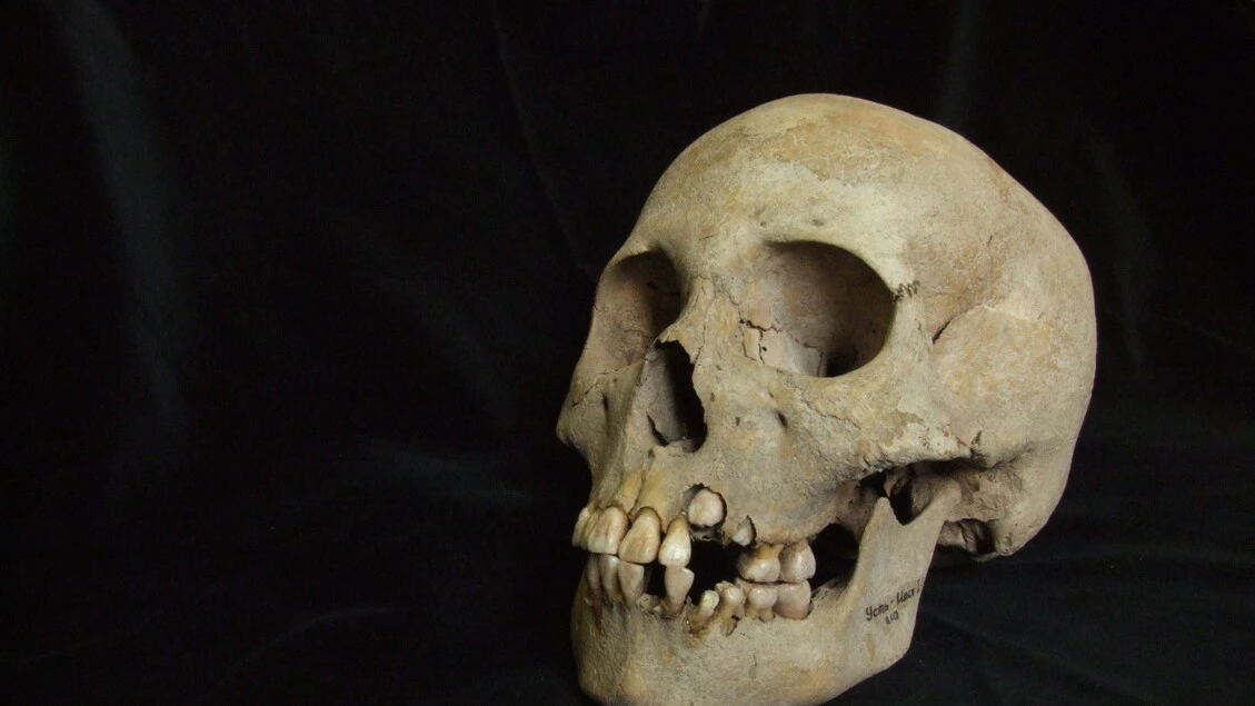 Le più antiche tracce della peste risalgono a 5.500 anni fa