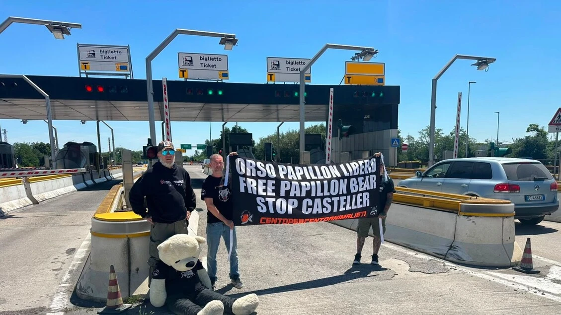 Animalisti bloccano casello dell'A22 di Verona per l'orso 'Papillon'