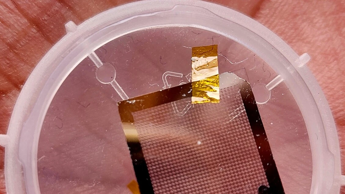 Dal 6G a internet quantistica, inaugurata la nuova sede di Restart