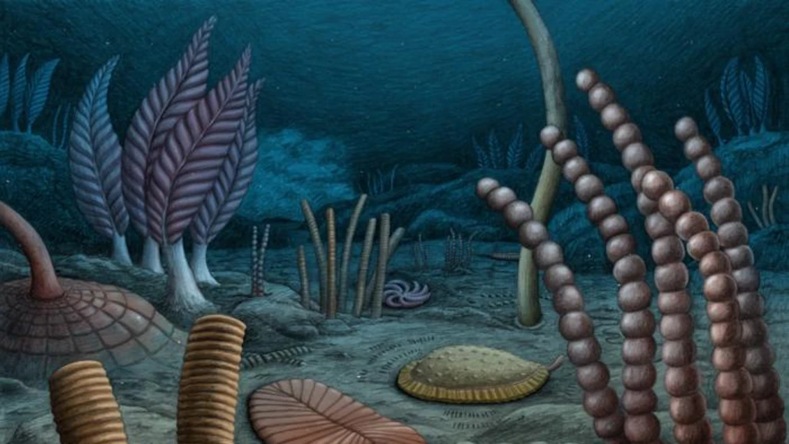 Organismi fossili degli abissi riscrivono la storia dell'evoluzione