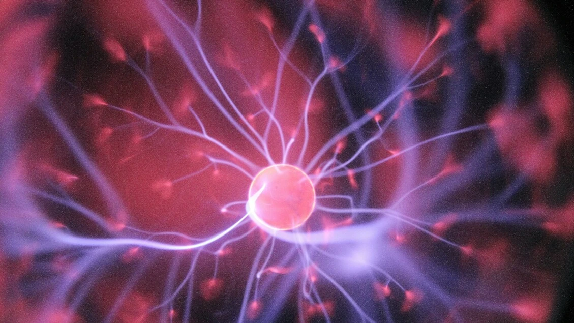 Rigenerati i tessuti dopo l'amputazione, l'esperimento sui topi