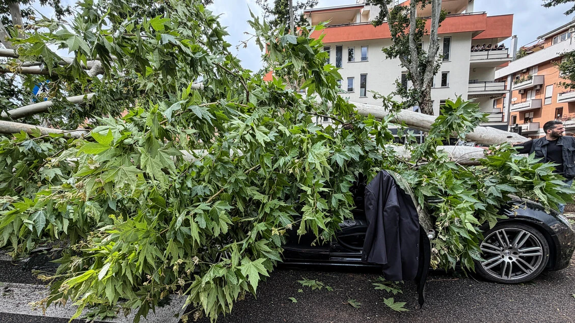 Tromba d'aria a Roma, alberi caduti e traffico in tilt