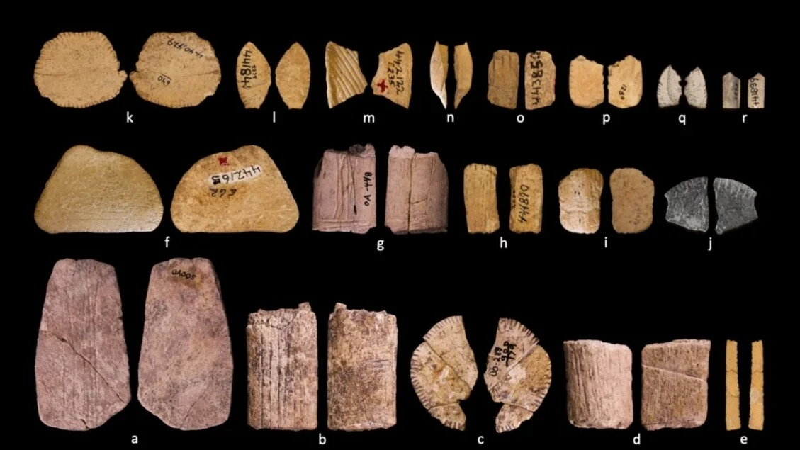 Scoperti i più antichi dadi da gioco, hanno 12 mila anni